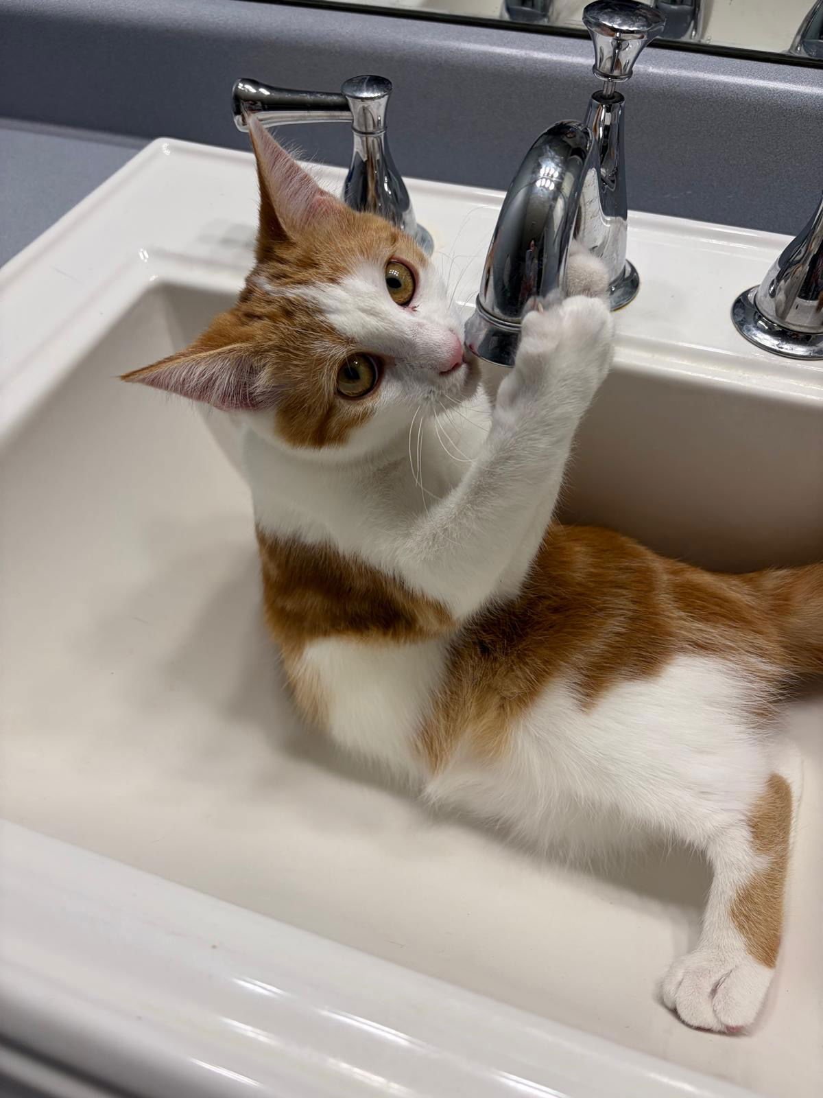 COMING SOON - Delilah - Photo 4