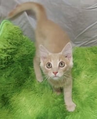 Whizzbee - Photo 1