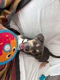 Axel - Photo 3