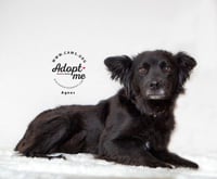 Agnes - Photo 1