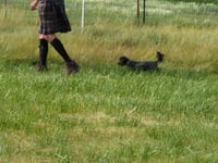 Fillmore - Photo 3
