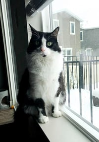 Tia - Photo 3
