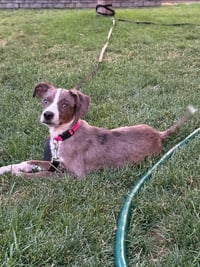 Oakley - Photo 3
