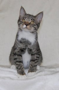 Skippy - Photo 1