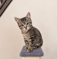 Wally - Photo 1