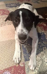 Patches - Photo 4