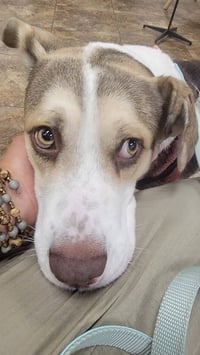 Eddie - Photo 3