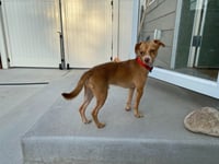 Barnaby - Photo 3