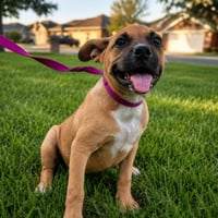 Zena - Photo 1