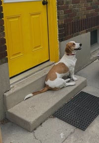 Penelope - Photo 3