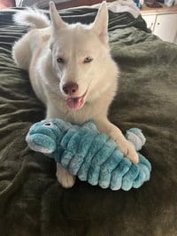 Maya - Photo 4