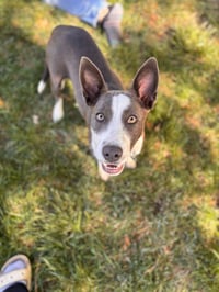 Skylar - Photo 1
