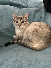 Betsy Ann - Photo 3
