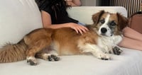 Champ - Photo 3