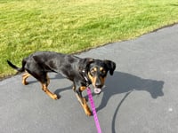 Annie - Photo 2