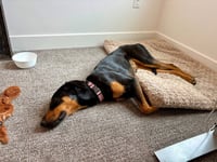 Annie - Photo 3