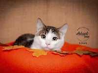 Fred - Photo 4