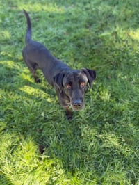 Winnie - Photo 3