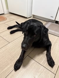 Winnie - Photo 2