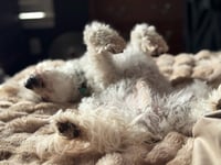 Ruben Humphrey - Photo 2