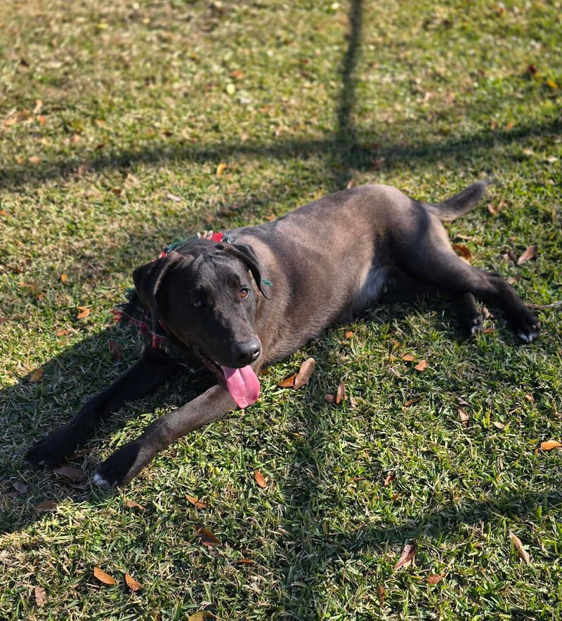 Benny - Photo 3