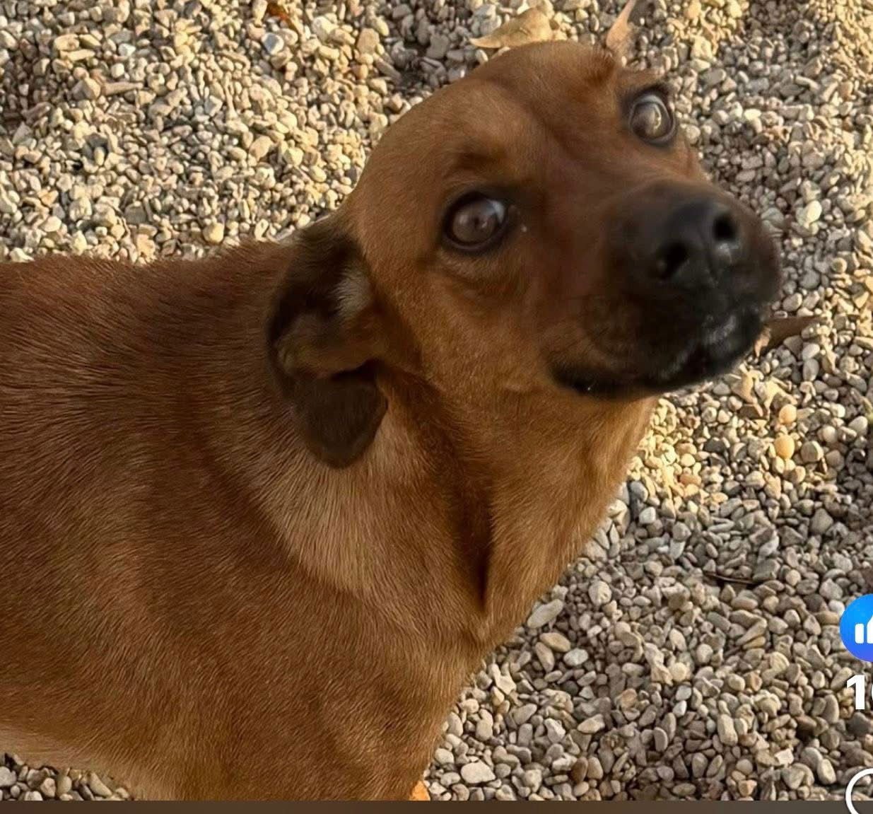 Morgan- sweet beauty - Photo 3