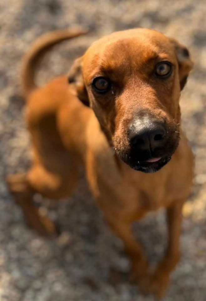 Morgan- sweet beauty - Photo 4