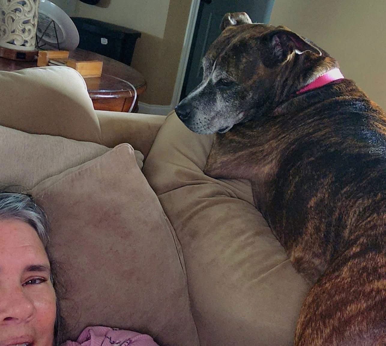 Ebony- special senior girl - Photo 3