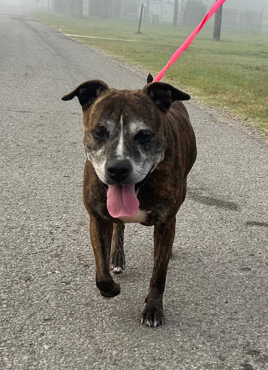 Ebony- special senior girl - Photo 6