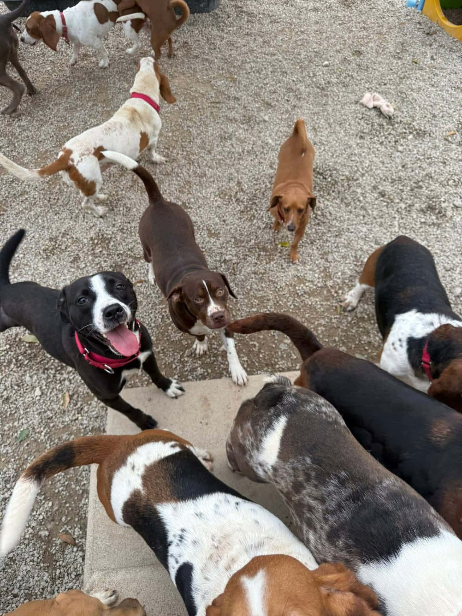 Preston- sweet tripod! - Photo 4