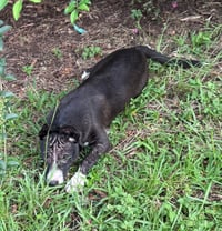 Loretta - Photo 4
