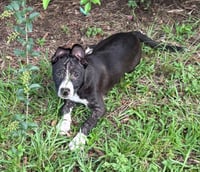 Loretta - Photo 3
