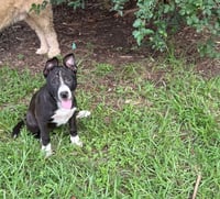 Loretta - Photo 2