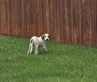 Karma - Little Explorer - Photo 1