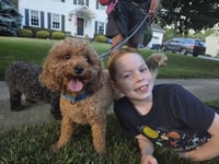 Toby - Sweet Companion - Photo 2