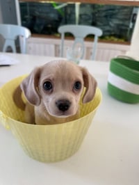 Cash- NO more applications - Photo 1