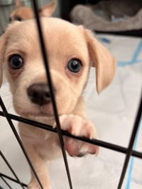 Cash- NO more applications - Photo 3