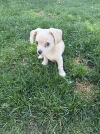 Cash- NO more applications - Photo 5