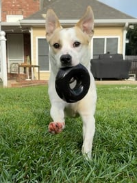 Banjo - tornado of fun - Photo 3