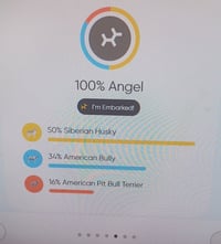 Angel- just missing her wings - Photo 3