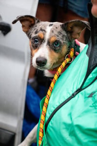 Marley - Maybe Me? - Photo 2