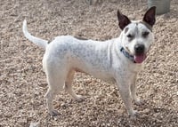 Trinity- certified good girl - Photo 1