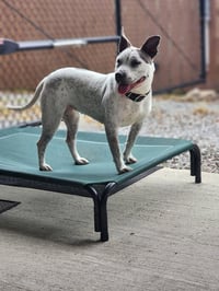 Trinity- certified good girl - Photo 2