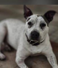 Trinity- certified good girl - Photo 3