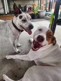 Trinity- certified good girl - Photo 5