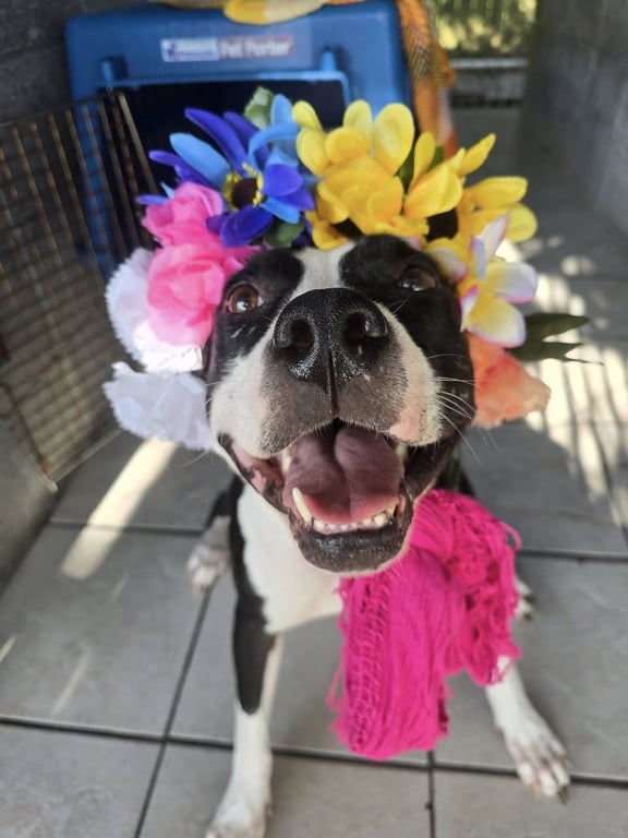 Grace - Confident and Quirky Girl Image