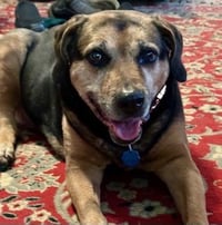 Abby - Awesome Girl! - Photo 8