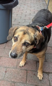 Abby - Awesome Girl! - Photo 12