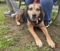 Abby - Awesome Girl! - Photo 13