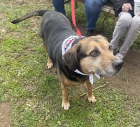 Abby - Awesome Girl! - Photo 15
